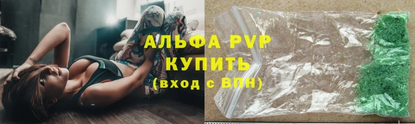 сатива Верея