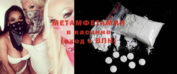 сатива Верея