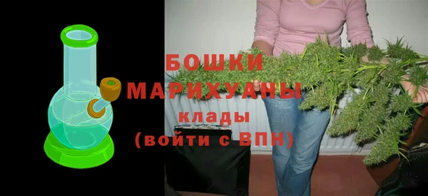 сатива Верея