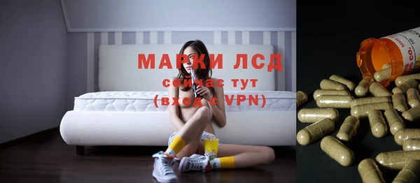 сатива Верея