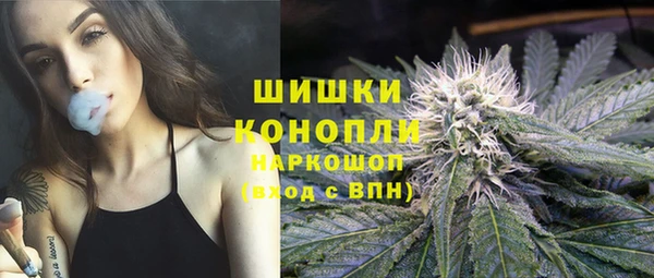 сатива Верея